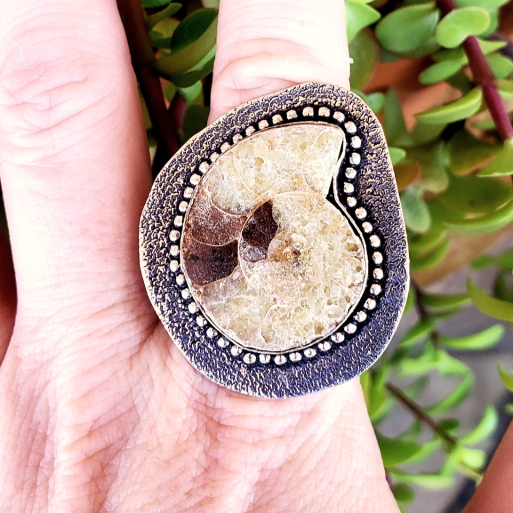 New Unique Oversized Ammonite 925 Silver Ring.